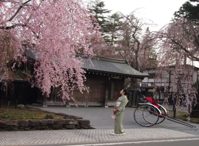 きもの散策KAKUNODATE▷桜の角館を着物で歩く、ゆったり春の散策　武家屋敷通りで和やかなひとときを過ごそう
