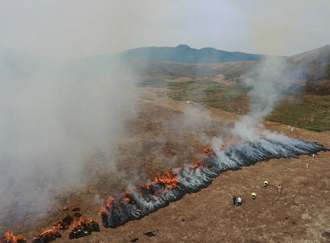 寒風山山焼き▷美しい自然を守るボランティアを募集