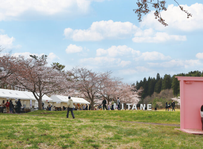 惣三郎沼公園桜まつり＆桜ライトアップ▷にぎわう縁日と夜桜ライトアップで春を楽しむ