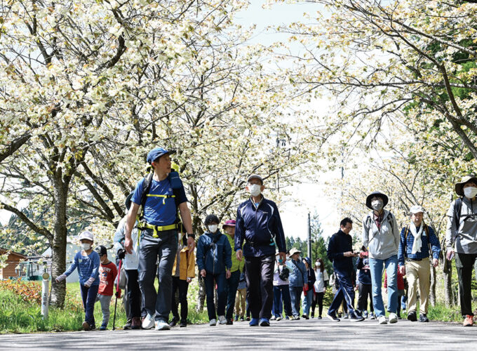 第13回太田黄桜まつり▷今年は伊藤園による黄桜植樹式も！