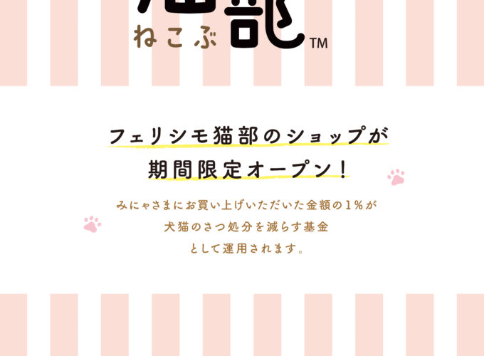 POP-UP「猫部」▷ネコ好きにはたまらないPOP-UPが展開中　日常に取り入れたい可愛いアイテムの数々