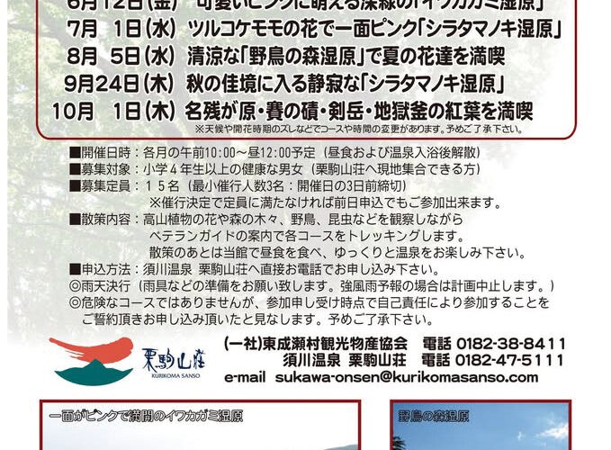 東成瀬村「須川高原」でツルコケモモに出会うお気楽トレッキング