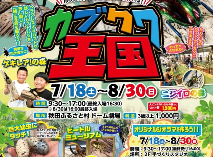【横手市】珍しいカブクワに会える！触れる！「カブクワ王国」へ