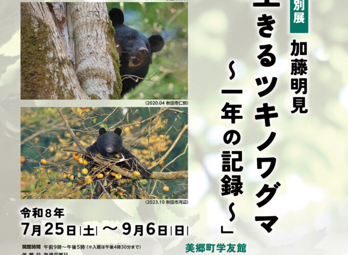 【美郷町】美郷町学友館特別展「森に生きるツキノワグマ～一年の記録～」｜生態から自然を学ぶ