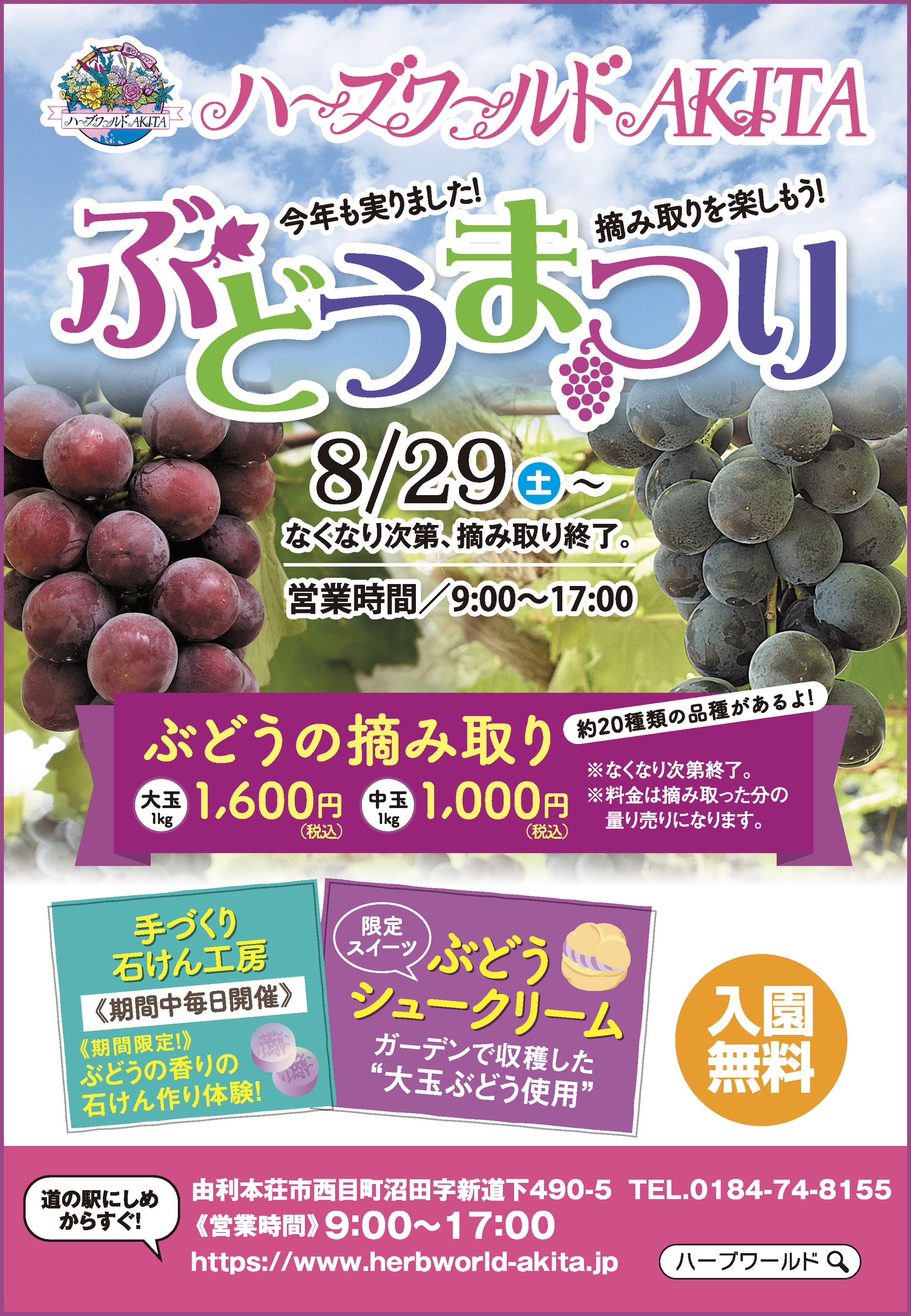 【由利本荘市】ハーブワールドAKITA｜摘み取りを楽しめる「ぶどうまつり」開催！