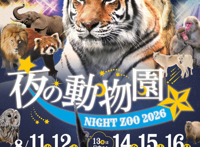 【秋田市】秋田市大森山動物園｜ナイトズーがオープン！真夏の夜を、動物園で楽しもう