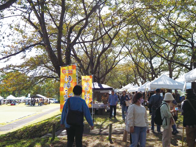 【仙北市】秋彩こみちinかくのだて2026｜角館の秋の風物詩が今年も開催