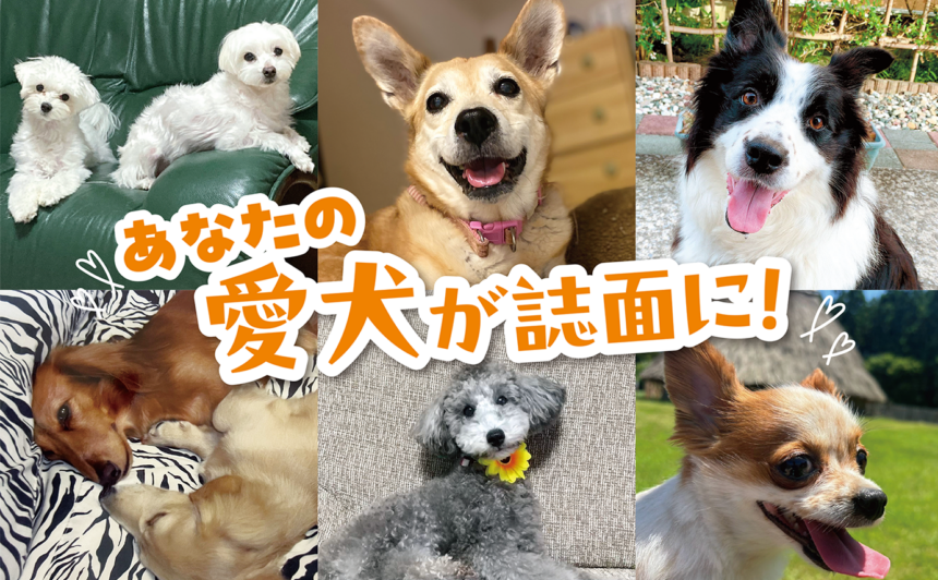 犬フォトコンテスト開催