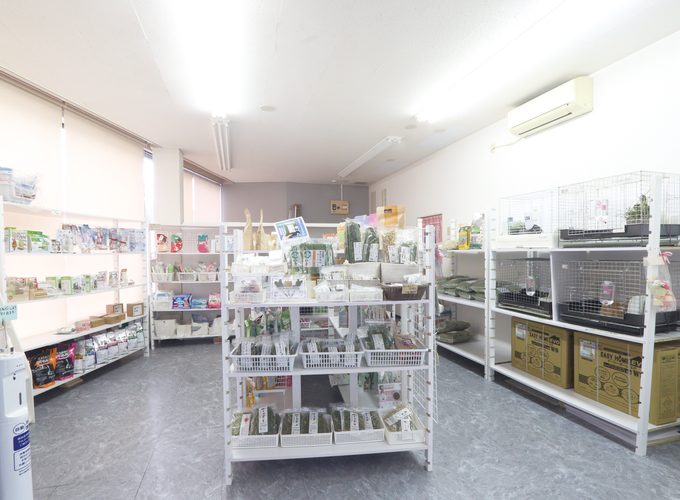 【秋田市】「うさぎ専門店 ラビットハウスナイア 秋田店」｜愛らしいウサギと出逢える専門店