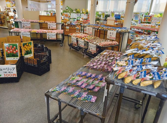 【潟上市】ブルーメッセあきた「春咲き球根まつり」開催！約200種類の球根がずらり